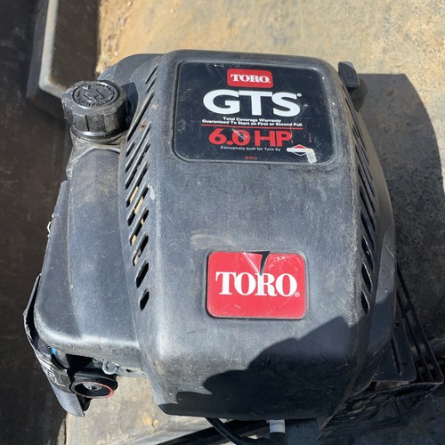 Gruppo motore briggs - motore,