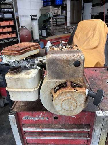 Motore albero laterale briggs - motore,
