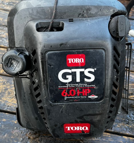 Gruppo motore briggs - gruppo,